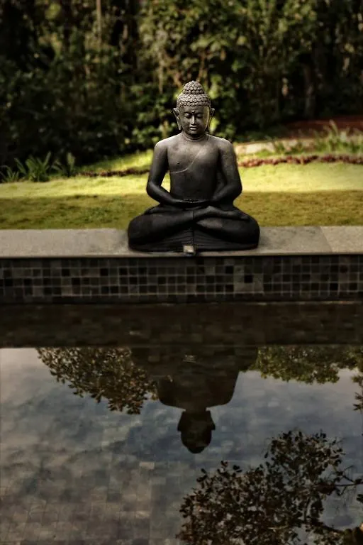 The Windflower Resort & Spa, Vythiri Wayanad