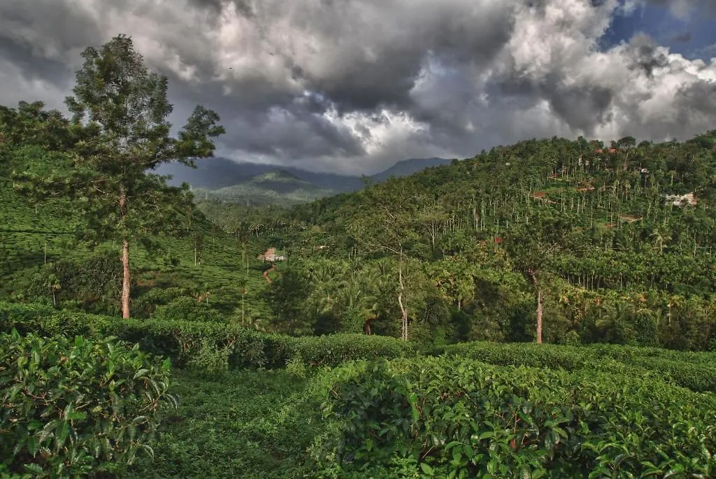 The Windflower Resort & Spa, Vythiri Wayanad 5*,  India