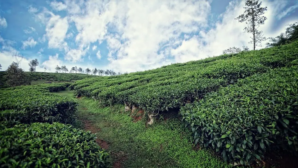 The Windflower Resort & Spa, Vythiri Wayanad